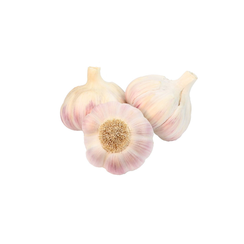 AIL ROSE 4KG